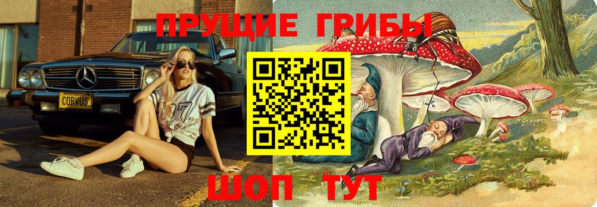 что такое наркотик  Псилоцибиновые грибы Psilocybe  Галлюциногенные грибы Psilocybine cubensis  Вход с VPN  Дальнегорск 
