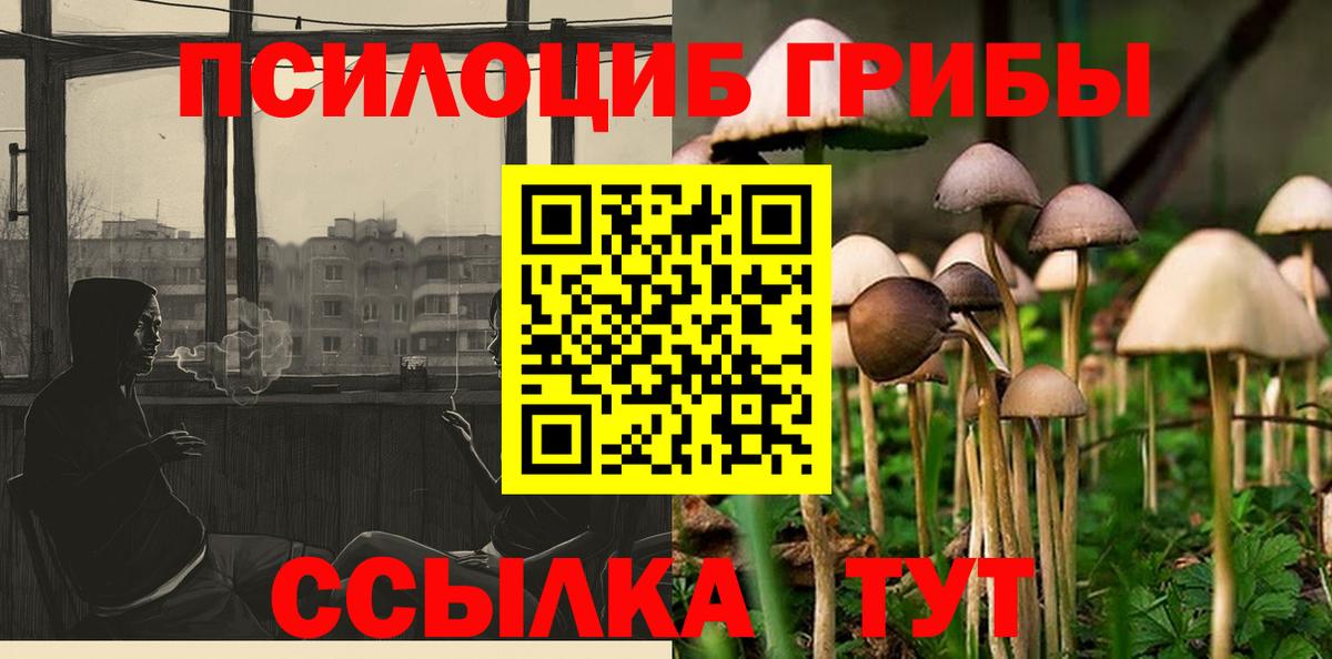 Галлюциногенные грибы MAGIC MUSHROOMS Дальнегорск